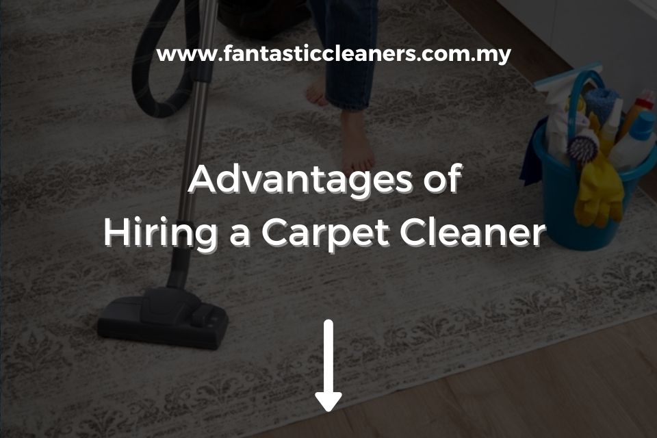 Advantages of Hiring a Carpet Cleaner