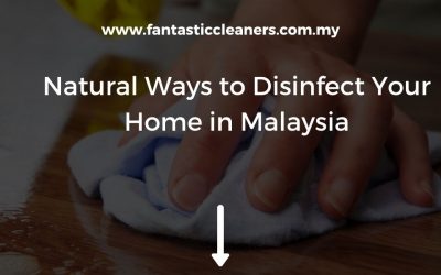 Natural Ways to Disinfect Your Home in Malaysia