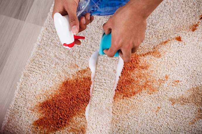 Carpet Stain Remover