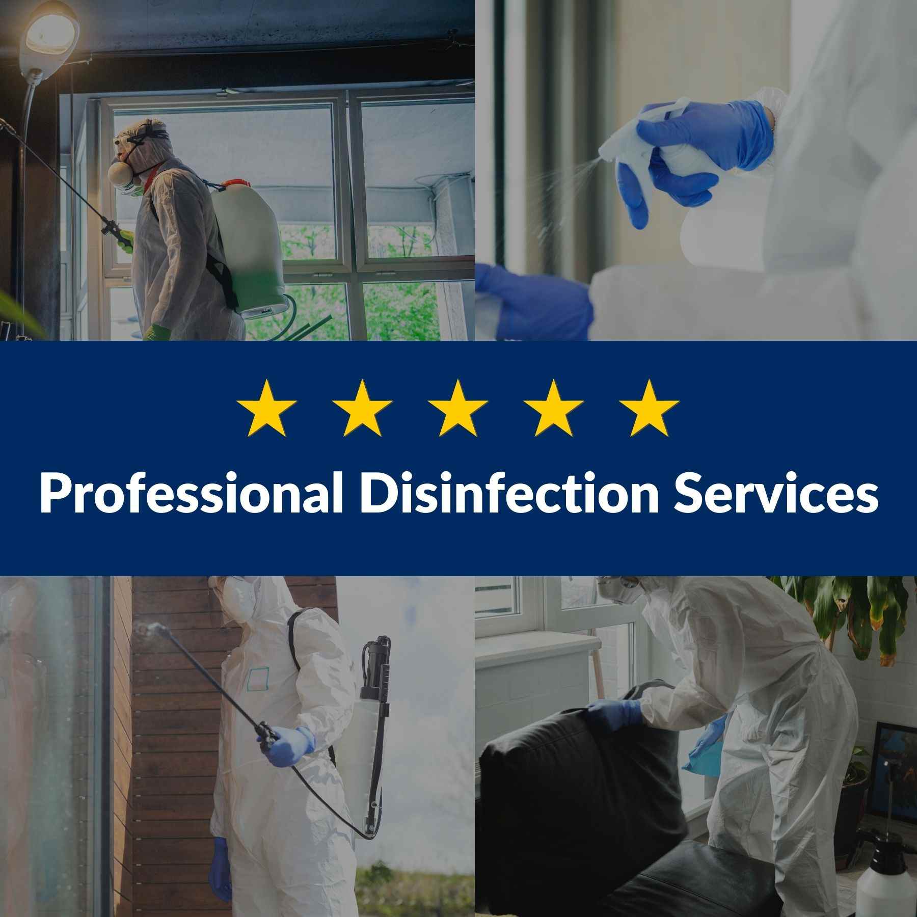 Professional Disinfection Services