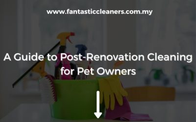 A Guide to Post-Renovation Cleaning for Pet Owners