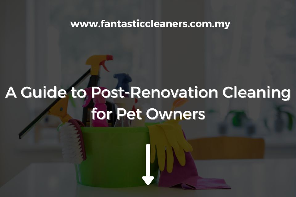 A Guide to Post-Renovation Cleaning for Pet Owners