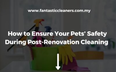 How to Ensure Your Pets’ Safety During Post-Renovation Cleaning