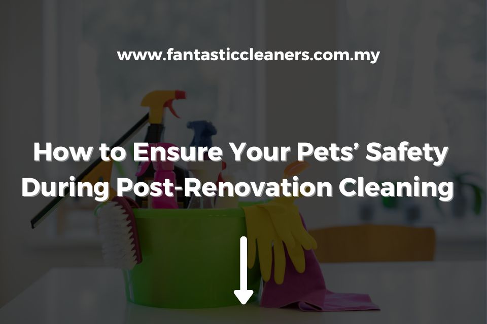 How to Ensure Your Pets’ Safety During Post-Renovation Cleaning