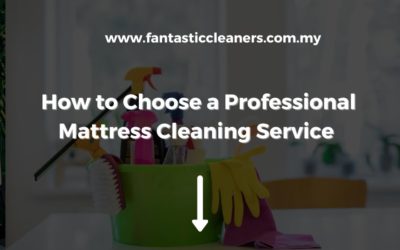 How to Choose a Professional Mattress Cleaning Service