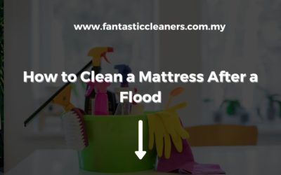 How to Clean a Mattress After a Flood