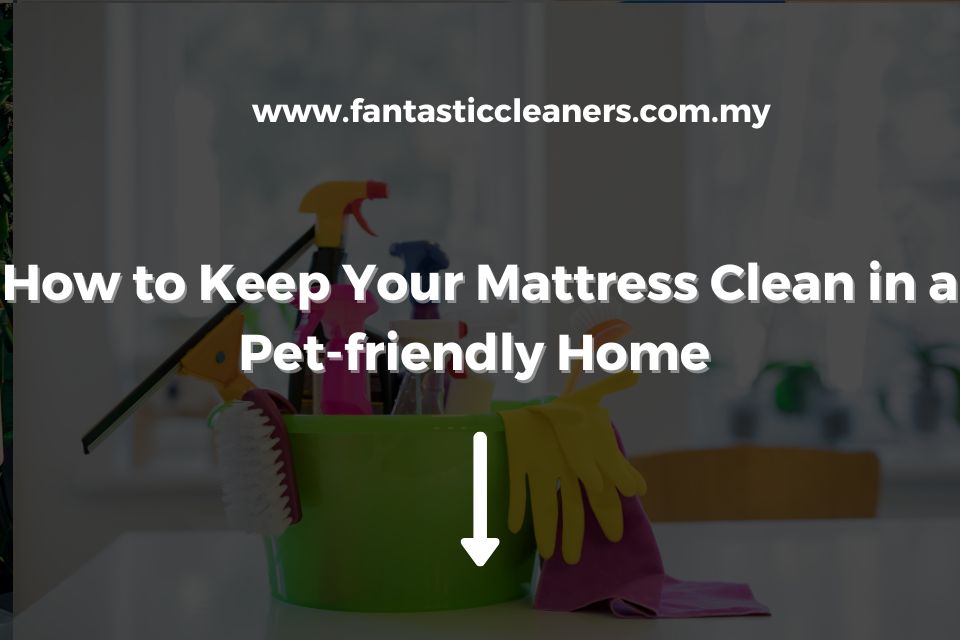 How to Keep Your Mattress Clean in a Pet-friendly Home