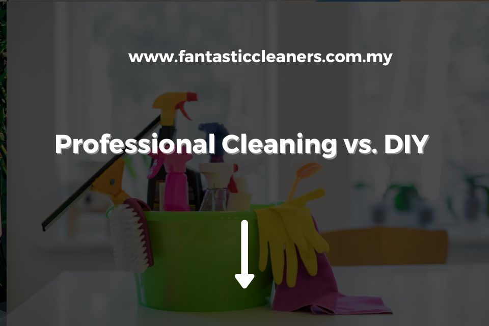Professional Cleaning vs. DIY