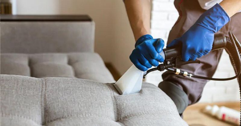 Sofa Cleaning Service