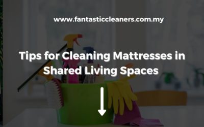 Tips for Cleaning Mattresses in Shared Living Spaces