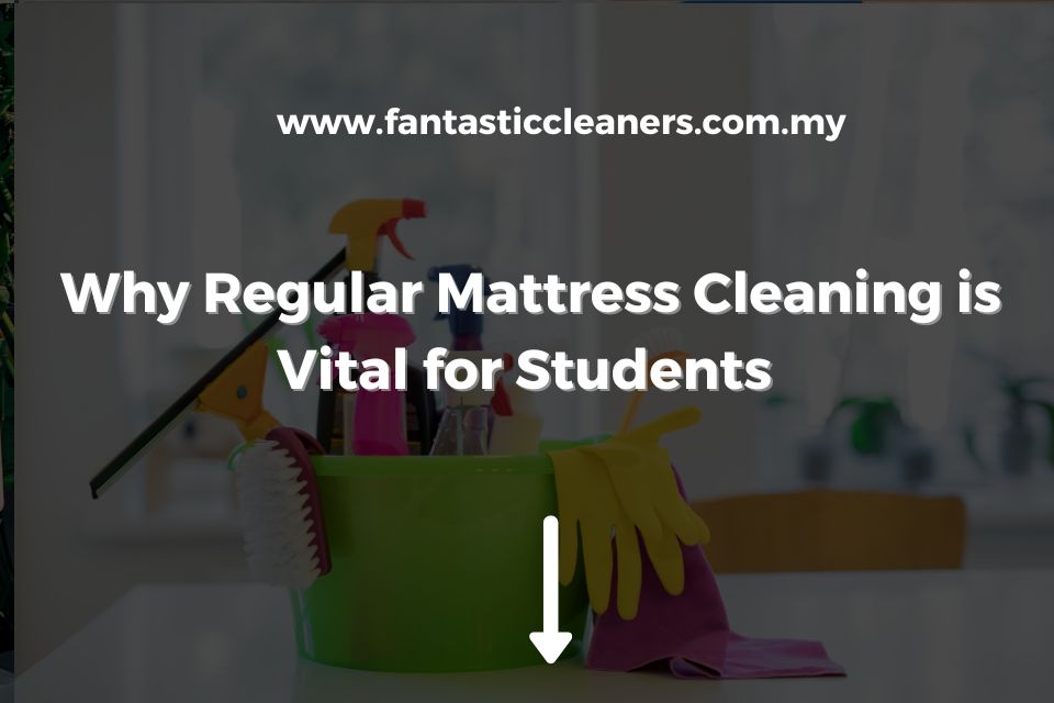 Why Regular Mattress Cleaning is Vital for Students