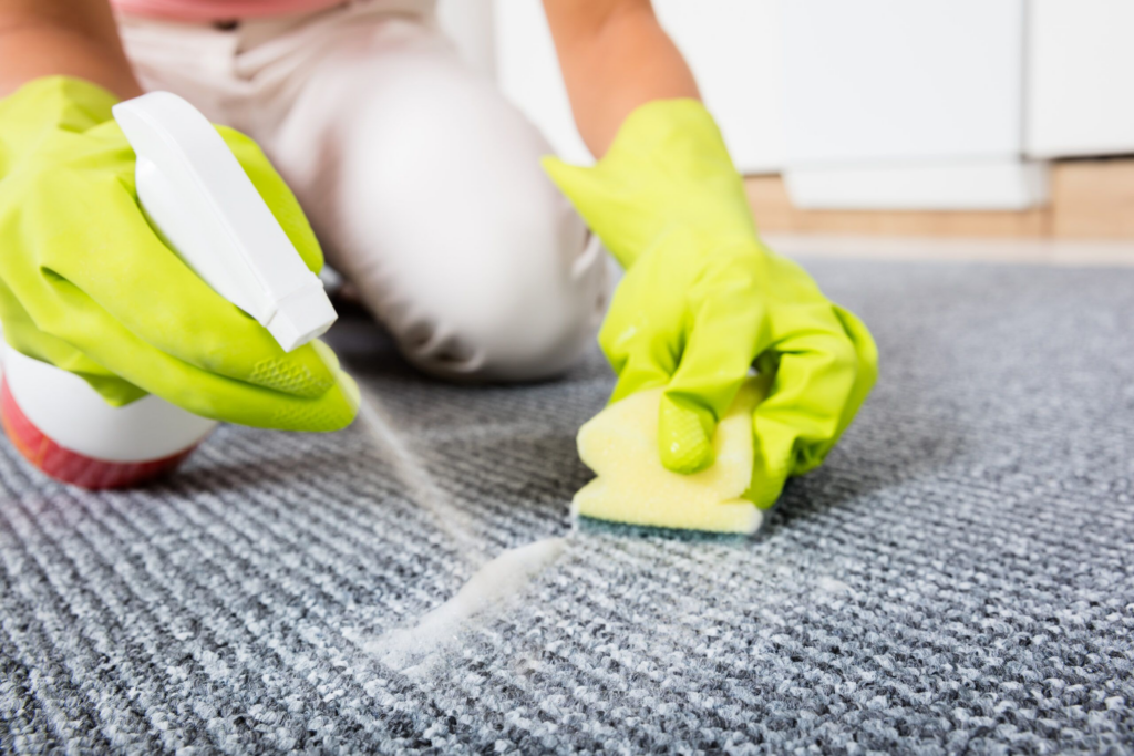 Investigate and Remove The Stains From The Carpet